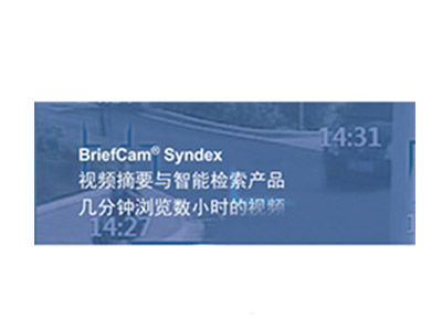 BriefCam VS Forensics快速视频检索系统
